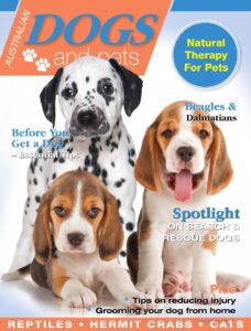 Dogs and Pets – Issue 4, 2023