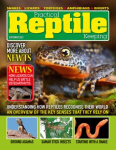 Practical Reptile Keeping – September 2023