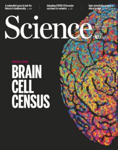Science, Issue 6667 Volume 382, 13 October 2023