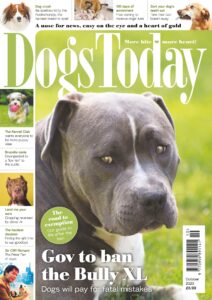 Dogs Today UK – October 2023