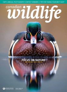 Canadian Wildlife – January-February 2024