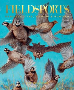 Fieldsports – Volume VI Issue I – 1 December 2023