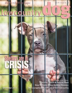 Lowcountry Dog Magazine- December 2023