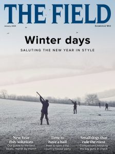The Field UK – January 2024