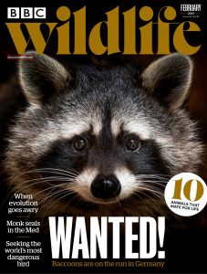 BBC Wildlife Magazine – February 2024