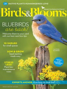 Birds & Blooms – February-March 2024