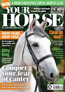 Your Horse – Issue 513, 2024