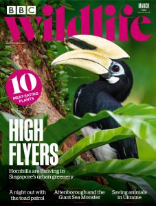 BBC Wildlife Magazine – March 2024