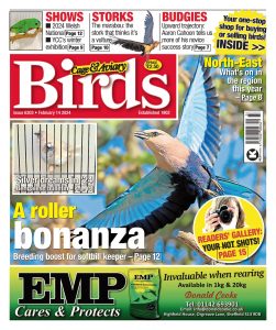 Cage & Aviary Birds – February 14, 2024