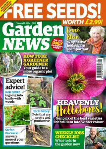 Garden News – 10 February 2024