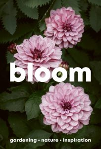 Bloom – Issue 16, 2024
