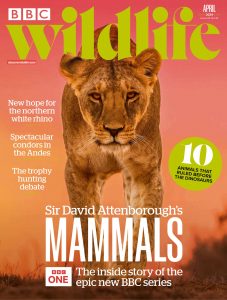 BBC Wildlife Magazine – April 2024