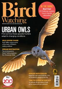 Bird Watching UK – May 2024