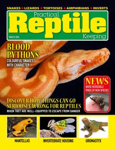 Practical Reptile Keeping – March 2024