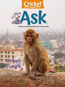 Ask Science and Arts Magazine for Kids and Children – May-J…