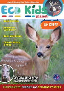 Eco Kids Planet Magazine – issue 115, May 2024
