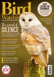 Bird Watching UK – March 2025